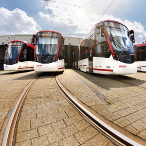 group of modern trams on track, type Stadler Tramlink Erfurt
